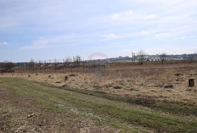 Teren 2,900mp Scheia / Strada Humorului - 4