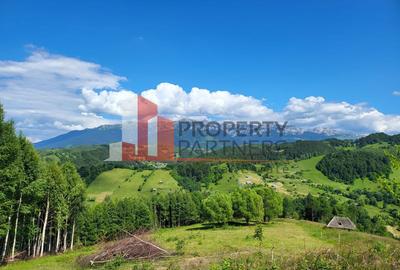 Teren Construcții intravilan de 29595 mp, în Drumul Carului