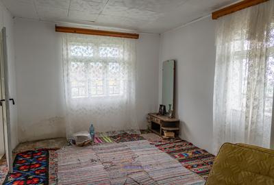 Casă din chirpici, bucătărie de vară și 1.34 ha de teren, Ardeoani - 17