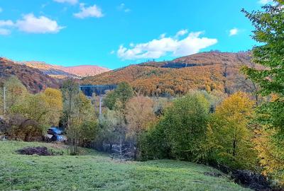 Vand teren cu vedere la lac, Valea Doftanei,Strada Lacului - 4