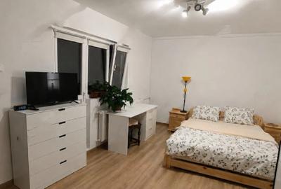 IANCULUI,Metrou VATRA Luminoasa PARCUL NATIONAL,Renovat, Mobilat,utilat modern - 1