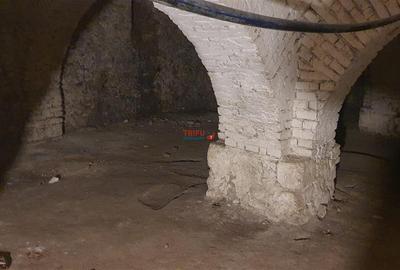 Spatiu comercial pentru restaurant, bar, club cu terasa si crama - 6
