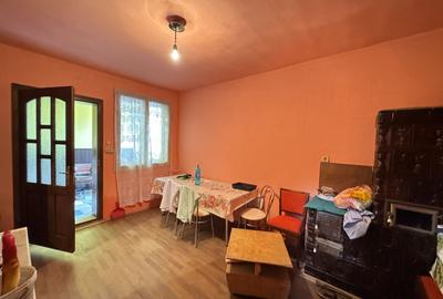 Casa in Lugoj pe Str. Fagetului - 10