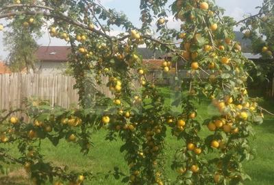 Vânzare Casă în Săcele - Locuință cu Teren Generos cu Potențial -de Renovat - 19