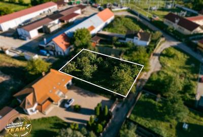 FILM! Casuta cu peste 800mp teren, areal estimabil, Lenin, Sfantu Gheorghe - 15