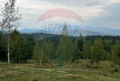 Teren extravilan parcelabil Călățele Pădure, zona Dealu Negru - 6