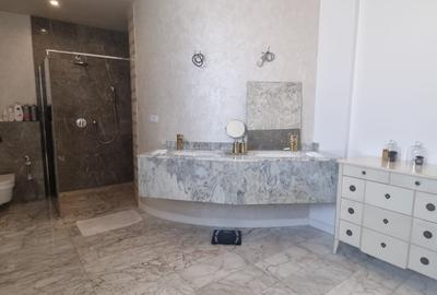 PIPERA IANCU NICOLAE VILA LUX RENOVATA COMPLET 2022 - 61