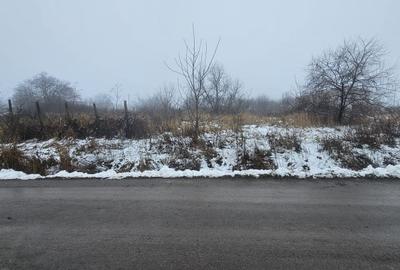 Exclusivitate MAG Invest – Teren 2300 mp Vanatori, ideal investitie - 1