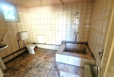 Casa Calea Severinului -la 500 m de Piața centrală - 6