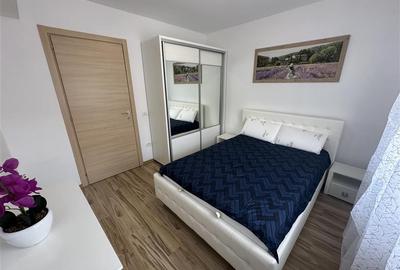 Apartament cu 2 camere, Nufarul de inchiriat - 9