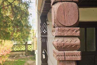 Casă P+1 de vânzare în Comuna Drăguțești, sat Iași-Gorj - 10
