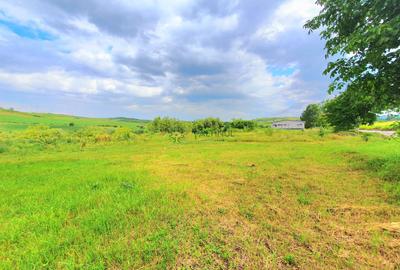 Teren intravilan 717 mp – Sura Mare, Sibiu - 4