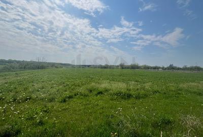 Teren Construcții intravilan de 15000 mp, în Snagov