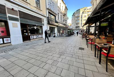Spatiu comercial ideal magazin, 126 mpu | Centrul Vechi - Str. Franceza - 11