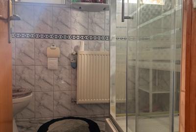 Vanzare vila situata pe malul Lacului Snagov, gradina si piscina, teren 1520 mp, - 14