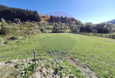Casă în Vatra Dornei, zona Argestru, cu 11.541m.p. TEREN INTRAVILAN - 18