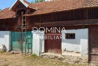 Vanzare casa traditionala, teren 1583 mp, Polovragi - 4