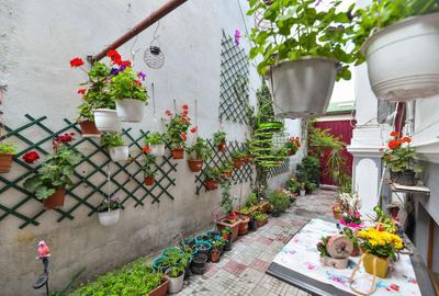 Casa individuală | Strada Plantelor | Curte proprie - 3