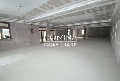Inchiriere spatiu comercial/industrial, situat in comuna Balteni, sat Vladuleni - 2