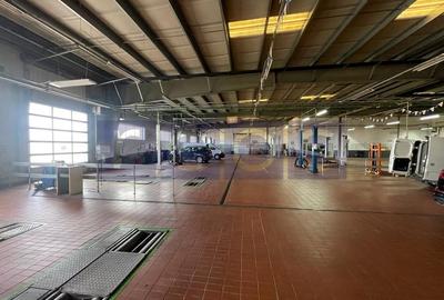BRASOV-GHIMBAV | INCHIRIERE HALA +SHOWROOM | 6500 MP CONSTRUITI - 37