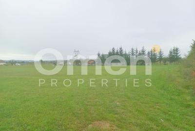 Teren intravilan 7.631 mp – Săcălășeni, lângă Baia Mare , utilități la drum - 2