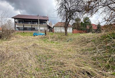 De vanzare teren in Brebu Nou  2877 mp - 2