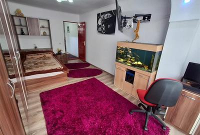 Apartament cu o camera 50mp gradina parcare zona Terezian - 9
