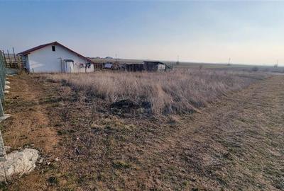 Teren construibil 1084 mp Ghercesti–langa Craiova - 4