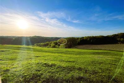 Teren de 9.500 mp in Maramures | Varf de deal, priveliste de pus in rama | Retre - 9
