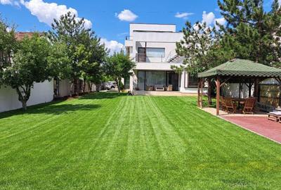 Vila individuala, gradina generoasa, zona Iancu Nicolae - 1