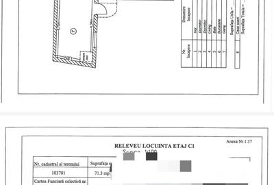 Vila ultracentral Pantelimon - 12
