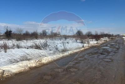 Teren 9,000mp Buftea / Strada Randunelelor - 2