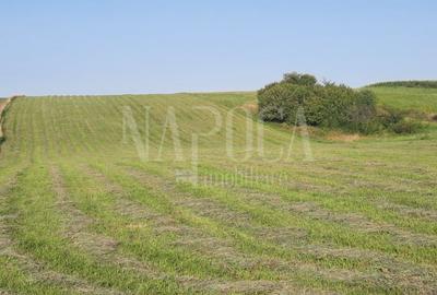 Teren intravilan pentru constructii de vanzare in Salicea - 2