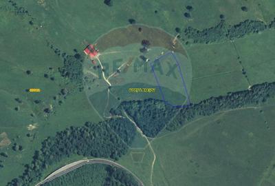 Teren 10,000mp Codlea / DN 1 - 3