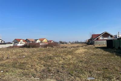 Nufărul, Oradea