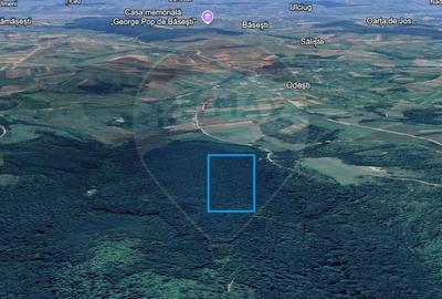 Pădure de vanzare cu zona de cabană Odesti - 5