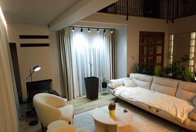 Casa / vila Craiovei , RENOVATA /mobilata/utilata ,finisaje superioare - 8