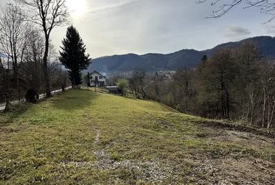 Teren  Bran/Predelut - 1