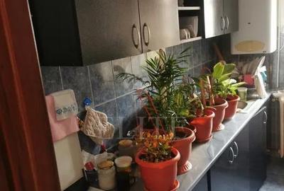 Apartament 3 camere în zona Grigore Alexandescu - 4