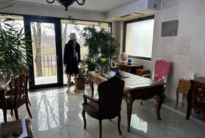 Reședință exclusivistă pe malul lacului - Exclusive Residence on the Lakefront - 24