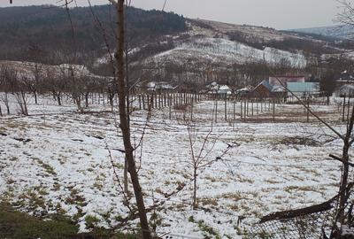 Teren 704 mp Breazu – asfalt + utilități – priveliște spre pădure – ideal casă - 10