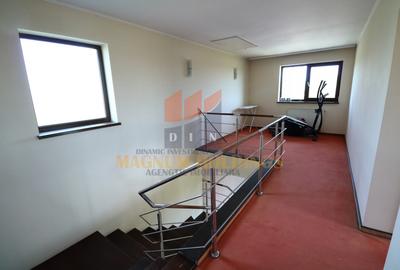 Casa Hintesti, 3 km de oras, 300 mp construiti, piscina, terasa - 9