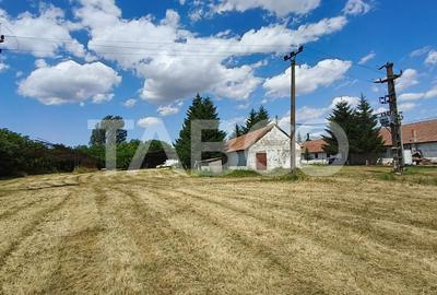 Platforma industriala cu cladiri de vanzare in Salistea de Alba - 9