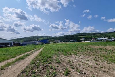 Teren Industrial cu Autorizatie de construire - Soseaua Iasi Tomesti - 6