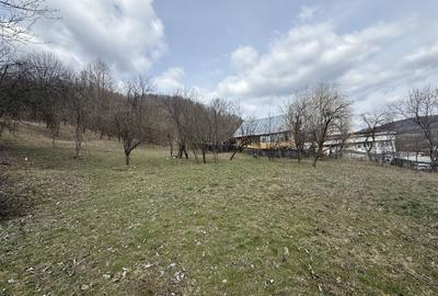 Teren 6040 mp la baza pădurii deschidere 40 ml - 5