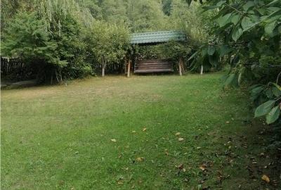 Casa de vacanta in Arges - 17