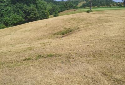 Teren intra si extravilan in Vad, Copalnic-Mănăștur, Maramures - 5