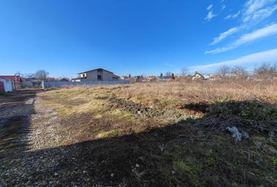 Lot casa, Serbanesti - 6