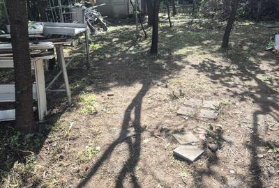 VAND CASA ZONA PARCUL SUB ARINI - 9