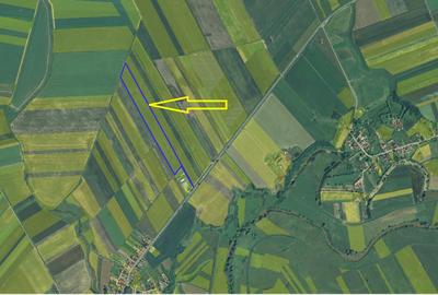 Teren extravilan de vanzare - 7